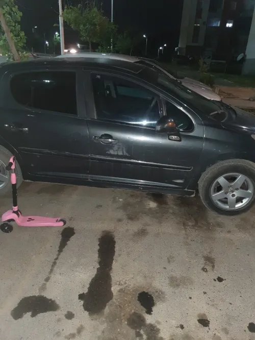 Peugeot 207 2009 