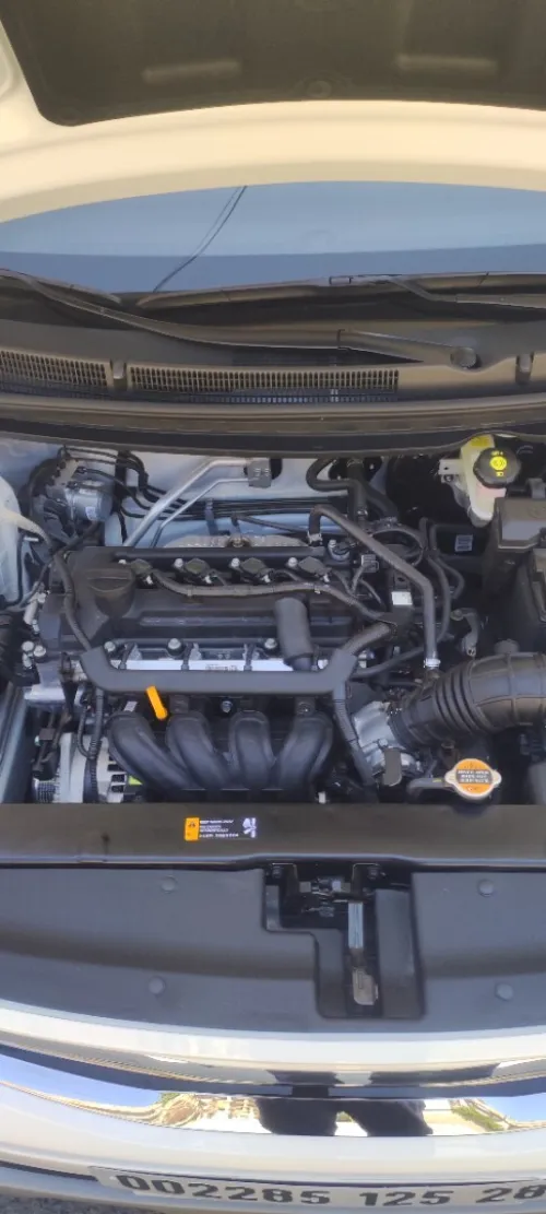 Kia KX1 2025 TT option