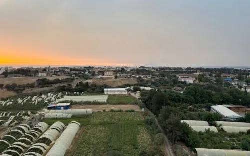 Location Appartement F3 Alger Cheraga