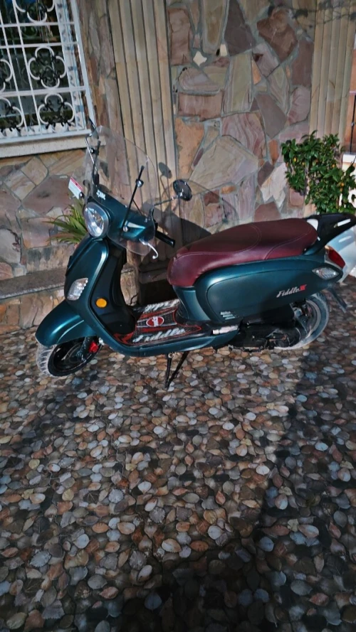 Sym Fiddle3 2022