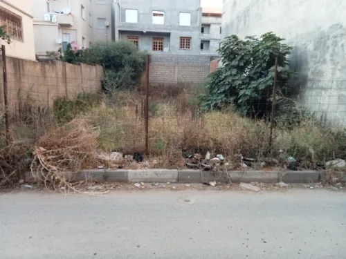 Vente Terrain Alger Hraoua