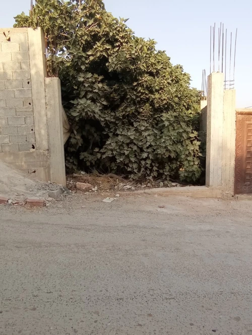 Vente Villa Constantine Hamma bouziane