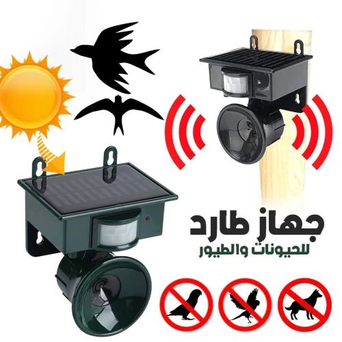 تتهناو من طيور ضارة 