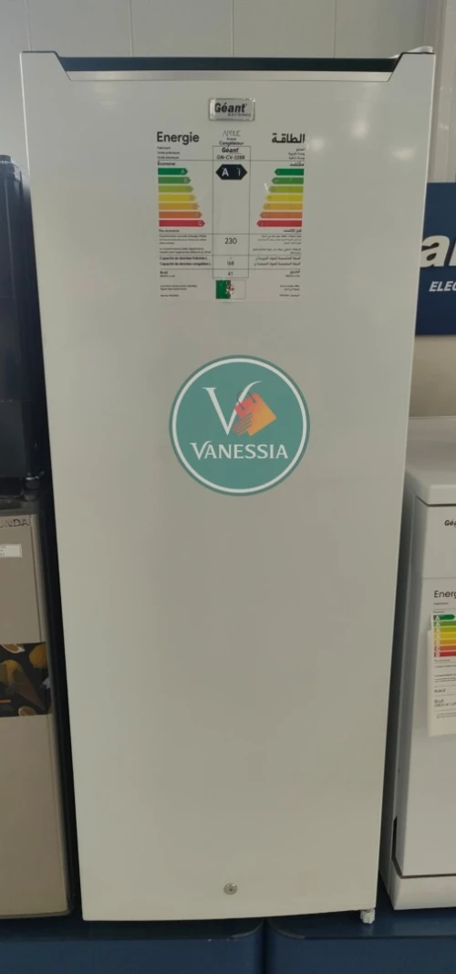 Congélateur Vertical 168L Marque Géant
