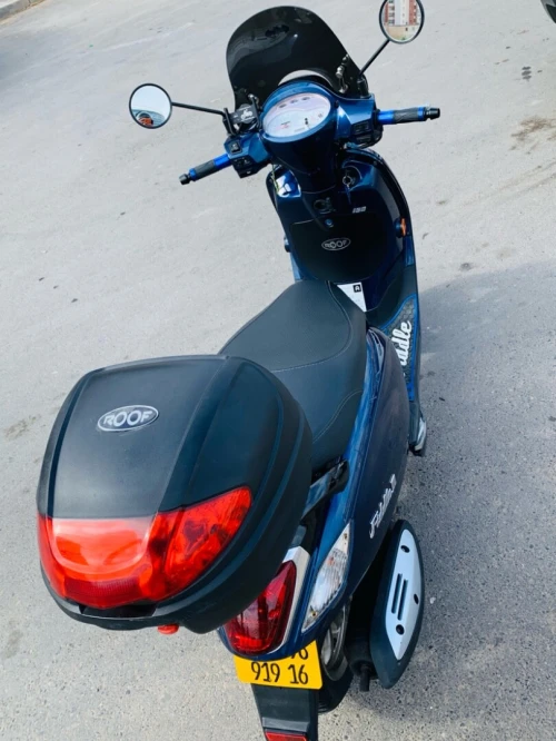 Sym Fiddel 3 2019