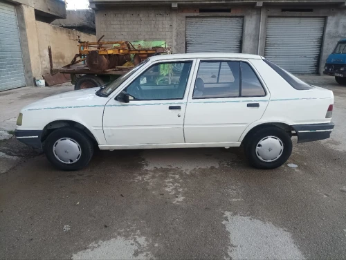 Peugeot 309 1989 309