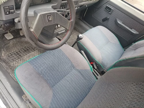 Peugeot 309 1989 309