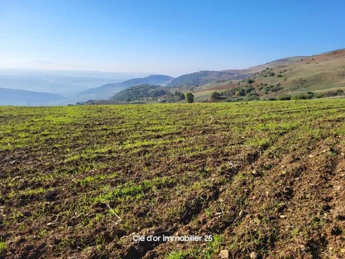 Vente Terrain Agricole Constantine Beni hamiden