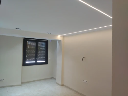Peintre professionnel