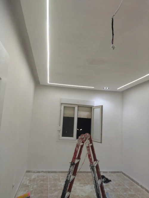 Peintre professionnel