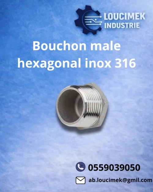 Bouchon male hexagonal inox 316