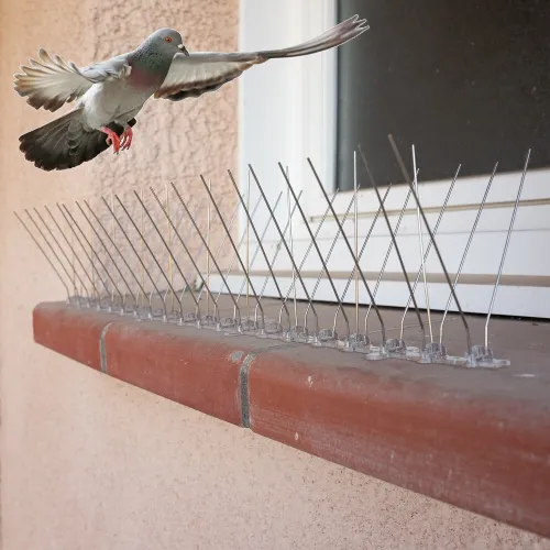 Pic Pigeon en Inox