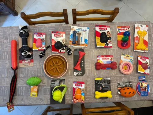 accessoires pour chien