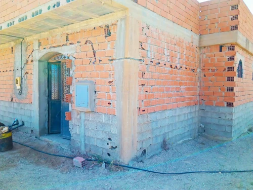 Vente Terrain Agricole Tlemcen Marsa ben mhidi