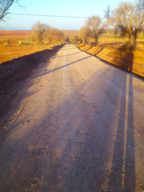 Vente Terrain Agricole Tlemcen Marsa ben mhidi