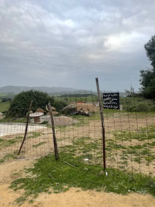 Vente Terrain Skikda Collo