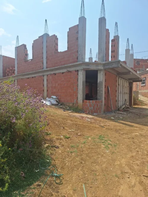Vente Terrain Blida Meftah