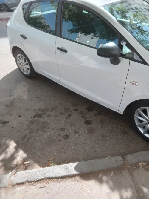 Seat Ibiza 2014 Fully