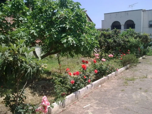 Vente Villa Blida Beni mered