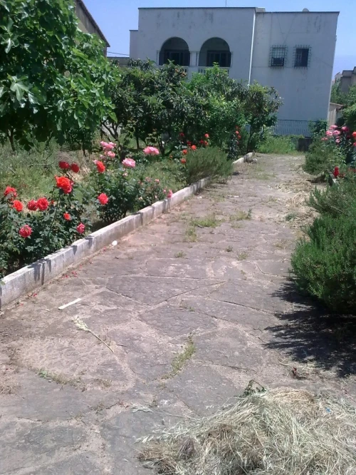 Vente Villa Blida Beni mered