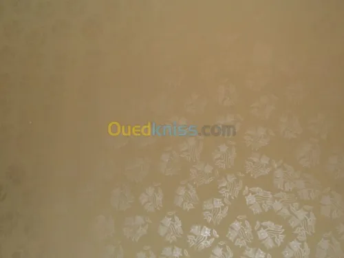 penture décoration faux plafonds pvc