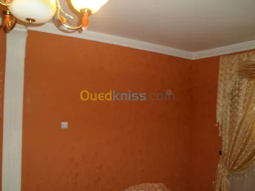 penture décoration faux plafonds pvc