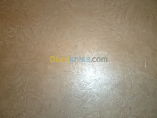 penture décoration faux plafonds pvc