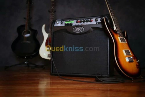 Sonorisation de marque Peavey 