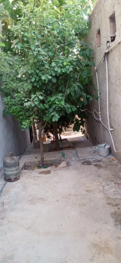 Vente Terrain Chlef Oum drou