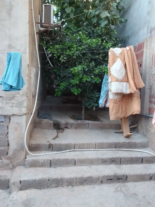 Vente Terrain Chlef Oum drou