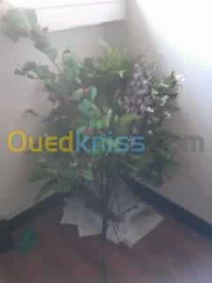 neuropsycho et psychopathologie