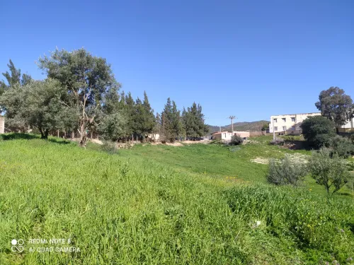 Vente Terrain Bouira Aomar