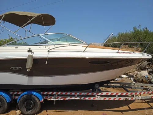 Vends Bateau sea ray 250