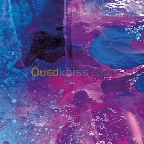 palque en platre et pienture