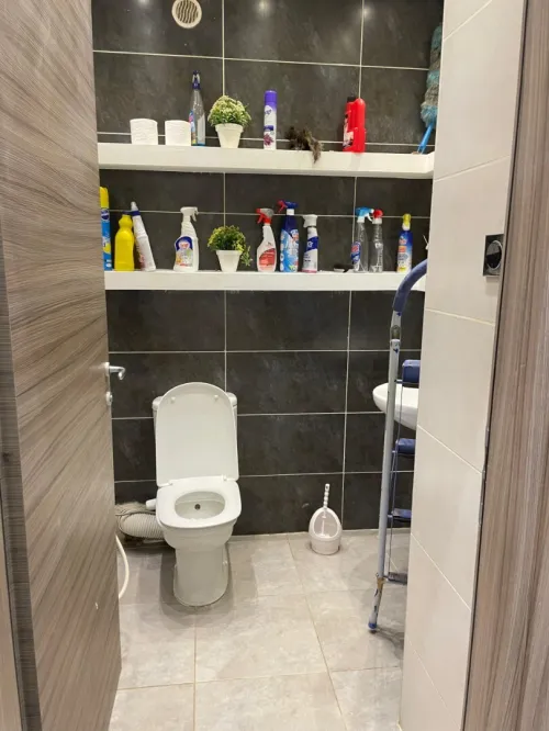 Vente Appartement F3 Alger Dely brahim