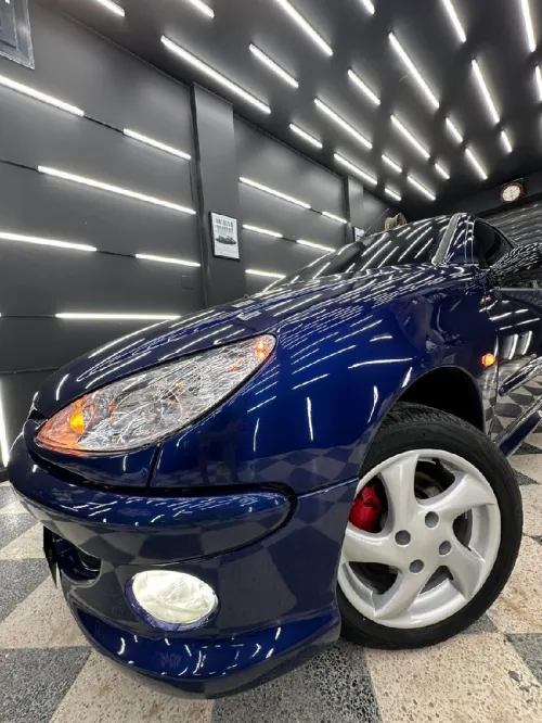 Peugeot 206 2004 206