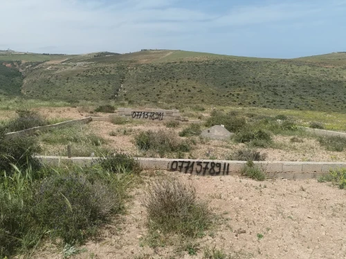 Vente Terrain Tlemcen Marsa ben mhidi