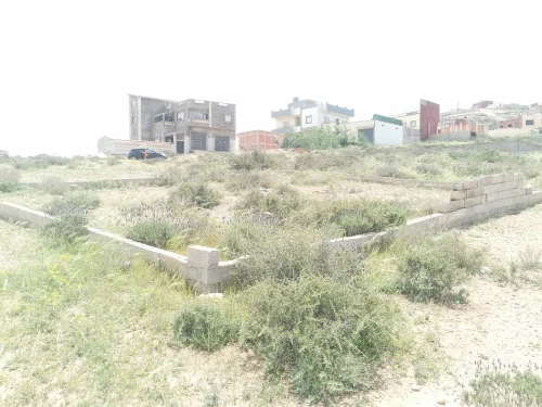 Vente Terrain Tlemcen Marsa ben mhidi