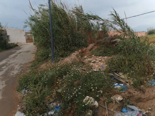 Vente Terrain Mostaganem Mostaganem