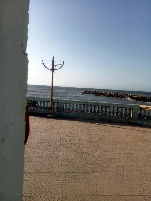 Vente Bungalow Tipaza Douaouda