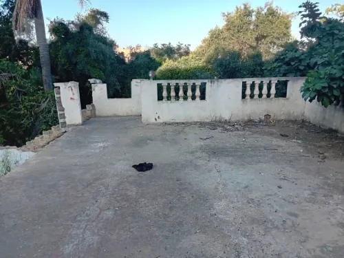 Vente Terrain Alger El harrach