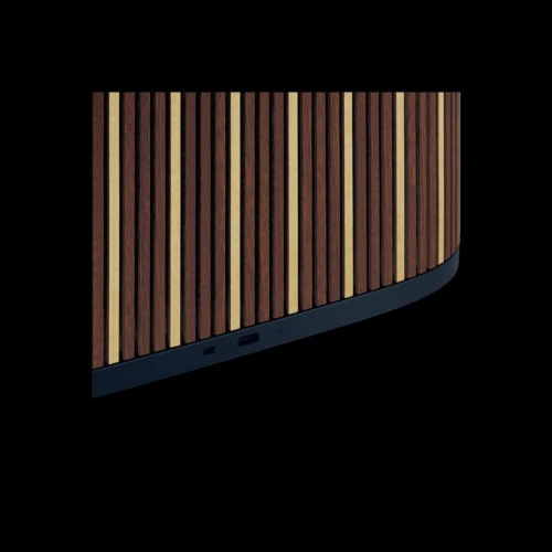 ENCEINTE BANG & OLUFSEN BEOSOUND A5 EDITION (RIVA) 