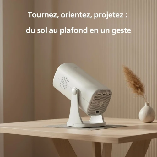PHILIPS DATA SHOW NEOPIX 244 65" LED FULL HD