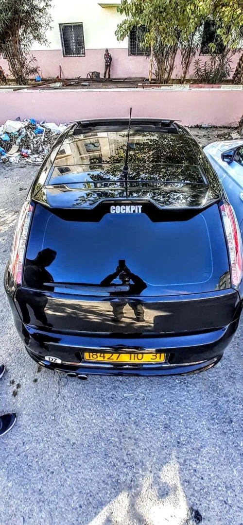 Fiat Grande Punto 2010 Grande Punto
