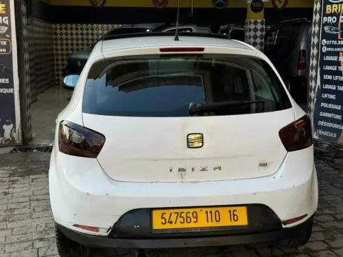 Seat Ibiza 2010 Loca