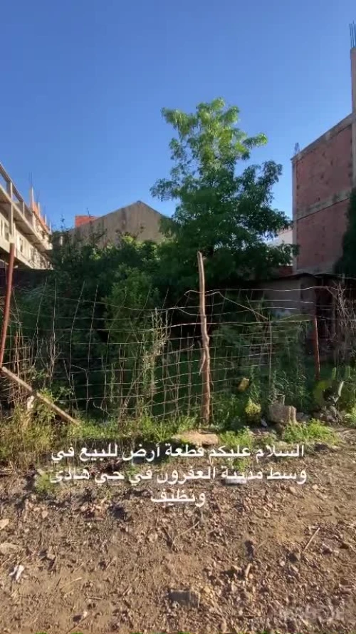 Vente Terrain Blida Blida 5