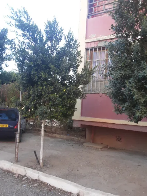 Vente Appartement F3 Ain defla El attaf