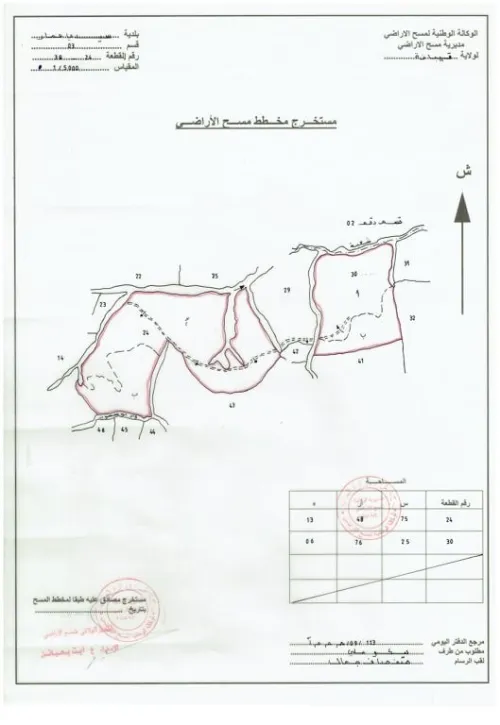 Vente Terrain Agricole Tipaza Sidi amar