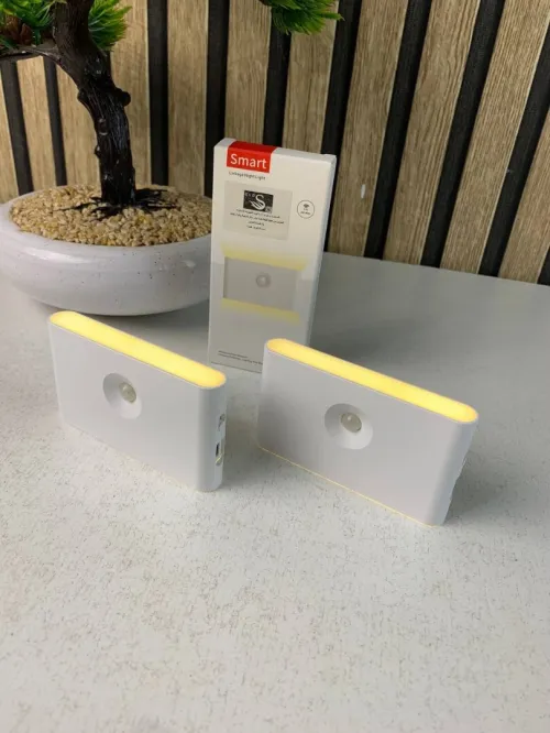 Lot de 2 Lampes Murales LED avec Capteur de Mouvement Rechargeables