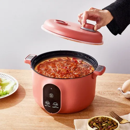 Cuiseur Électrique Multifonction  Tout-en-un pour votre cuisine !